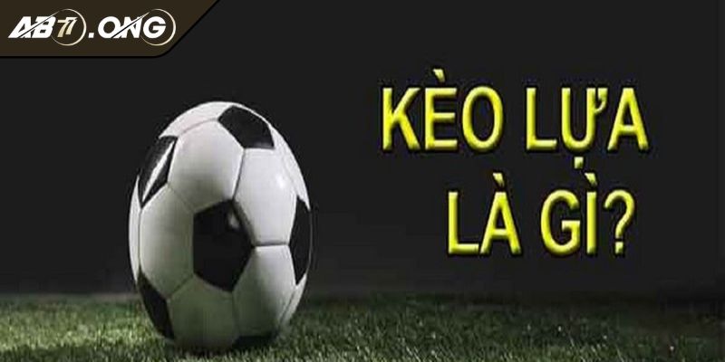 Kèo Lựa Là Gì Bí Kíp Chọn Thông Minh Cho Người Mới Bắt Đầu 1 Khám phá cơ bản về Kèo lựa là gì cần biết